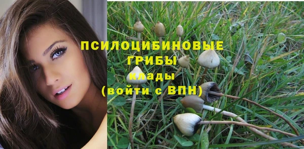 молекула духа Краснослободск